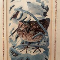 Lotto quadro cacciagione beccaccia e uccelli