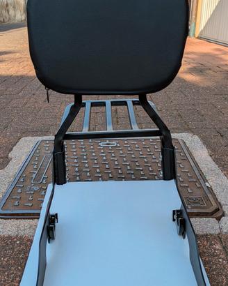 Sissybar Sissy bar Harley Davidson Sporster 883 12