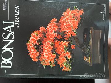 Libri bonsai