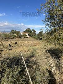 Terreno - Caltanissetta