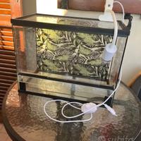 Teca e lampada per rettili