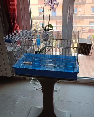  Gabbia per uccellini