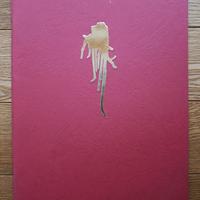 Omar Galliani / Volponi - Passare la spugna - 1988