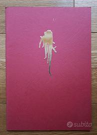 Omar Galliani / Volponi - Passare la spugna - 1988