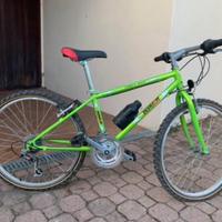 monta bike come nuova