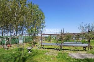 TERRENO AGRICOLO DI 5.000 MQ IN ZONA RISERVATA