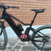 bicicletta ebike