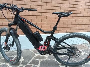 bicicletta ebike
