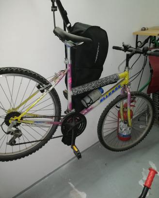 Bici mountain bike