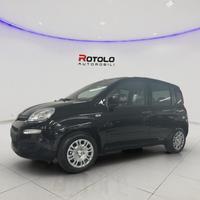 FIAT Panda 3ª serie Panda 1.0 FireFly S&S Hybr...