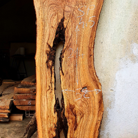 Asse di ulivo Salentino denominata (4)