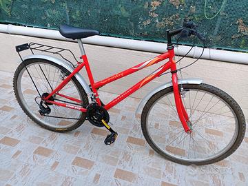 bici montan bike 