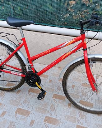 bici montan bike 