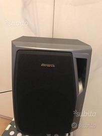 Aiwa speaker system