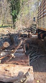 legna da ardere il boscaiolo 