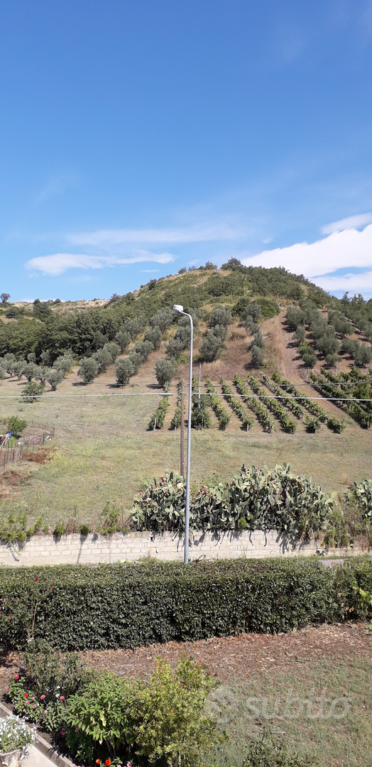 Terreno mongrassano scalo - Vista 5