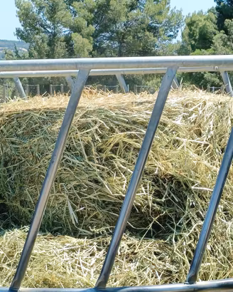 rotoballe di fieno