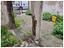 Immagine 14