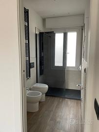 Coppia di sanitari filomuro