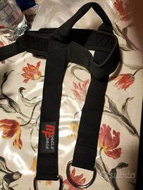 cintura allenamento collo muscle force