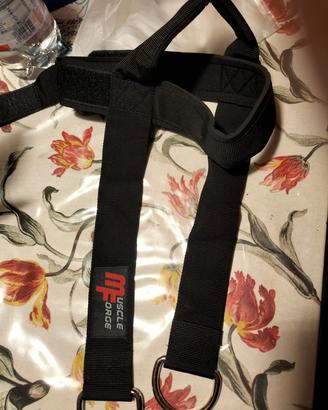 cintura allenamento collo muscle force