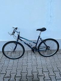 Mountain bike Kastle 3.5