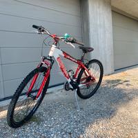 Mountainbike bambino