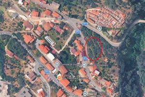 Lotto edificabile centro paese con uliveto