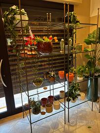 Scaffali con piano in vetro