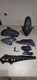 BENELLI TNT  1130/899 SET CARBONIO