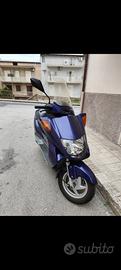 Honda Foresight 