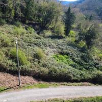 TER. AGRICOLO A CASTELNUOVO DI PORTO