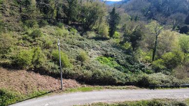 TER. AGRICOLO A CASTELNUOVO DI PORTO