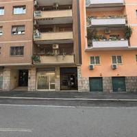 Cipro - locale commerciale c/1