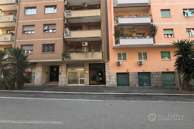 Cipro - locale commerciale c/1