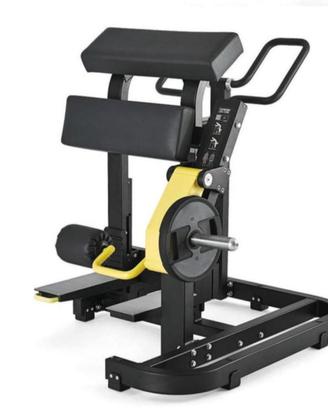 leg curl, leg ext . pressa 45 gradi e tapis roulla