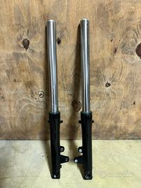 Steli forcella Motoguzzi California