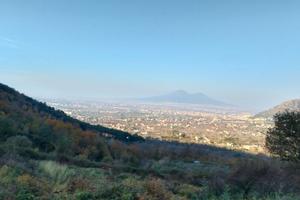 Terreno panoramico