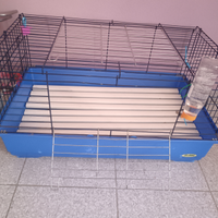 Gabbia +coniglio nano