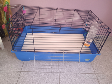 Gabbia +coniglio nano