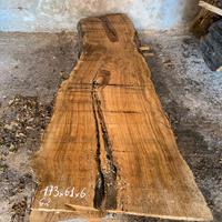 tavole ulivo codi G1/G4