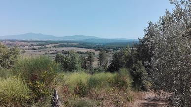 Terreno panoramico collinare con piccolo annesso