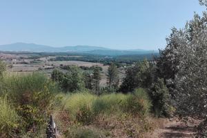 Terreno panoramico collinare con piccolo annesso