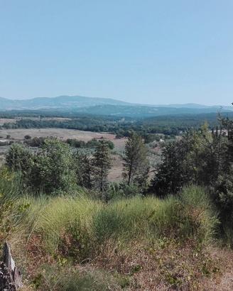 Terreno panoramico collinare con piccolo annesso