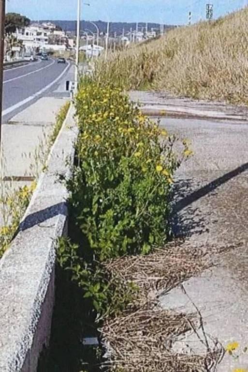 Immobile in asta di 4106 m² a Santa Marinella - Altro