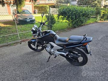 Yamaha YBR 250 - 2014