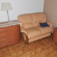 Divano e poltrone in pelle