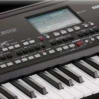 Korg PA300