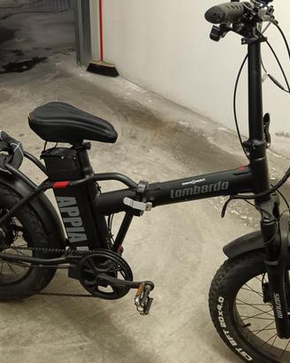 bicicletta elettrica a pedalata assistita