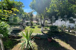 Casa Indipendente Pastorano [Cod. rif 3231276VRG]